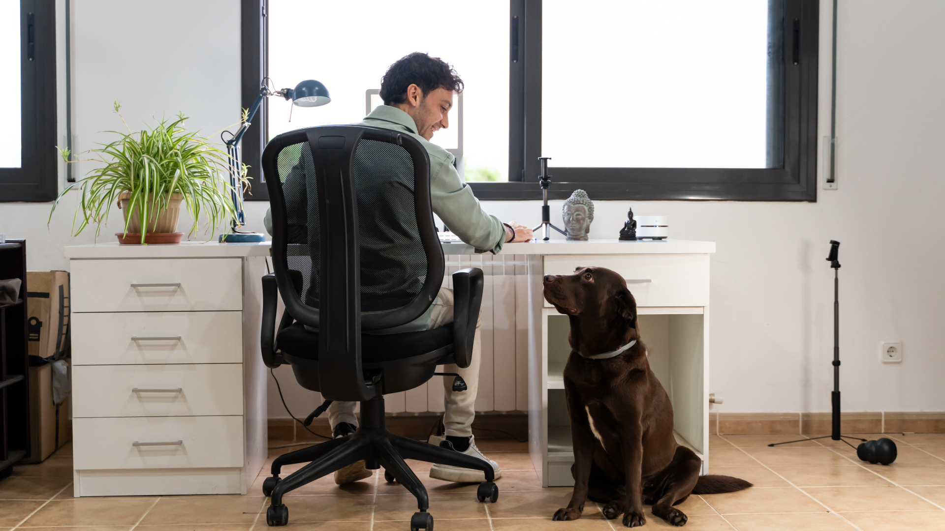 Does Your Homeowners Cover Your Business: Working From Home